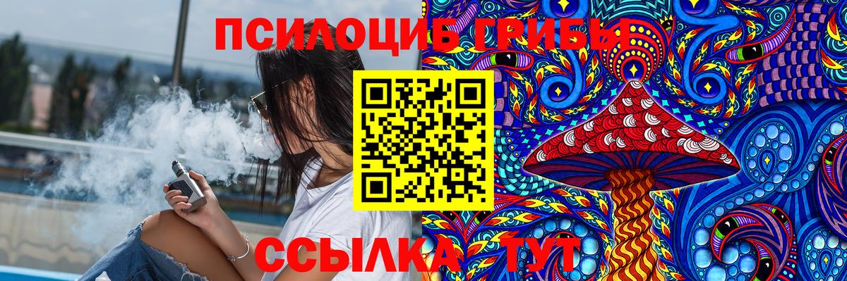 Псилоцибиновые грибы GOLDEN TEACHER Будённовск